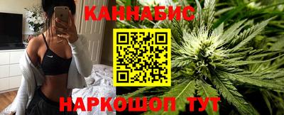 крисы Гагарин