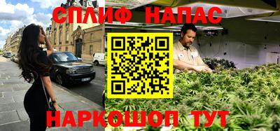 крисы Гагарин