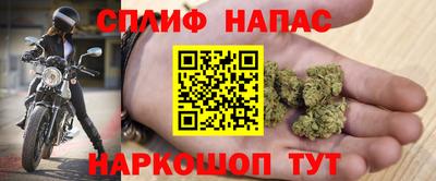 крисы Гагарин