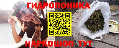 бошки Гай