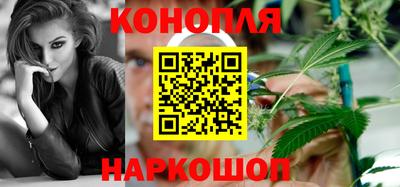 бошки Гай