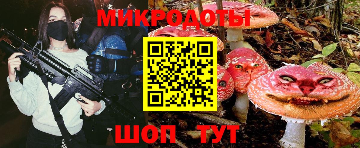 Галлюциногенные грибы Psilocybe Нефтеюганск